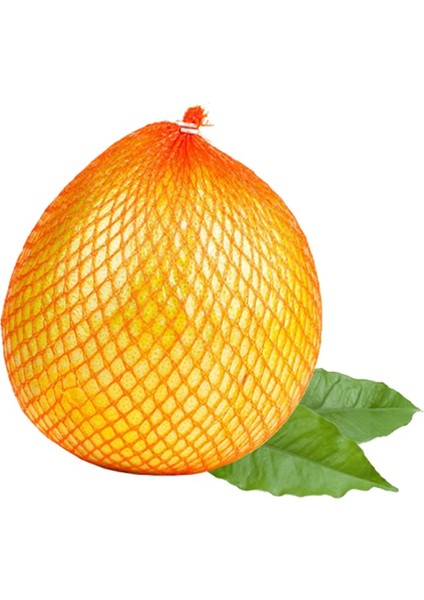 Sebze Meyve Dünyası Pomelo