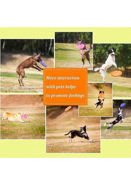 Köpek Frizbi Disk, Yumuşak Köpek Frizbi, Kauçuk Frizbi, Köpek Oyuncak