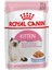 Kitten Jelly Kedi Konservesi x 12 1