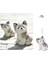 Sibirya Husky Peluş Oyuncak (Yurt Dışından) 2