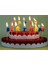 Happy Birthday Yazılı Renkli Pasta Mumu Yaş Pasta Mumu Pasta Süsü 2