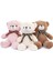 Teddy Bear Peluş Oyuncaklar (Yurt Dışından) 2