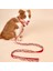 Köpekler Için Noel Yaka Kostümü (Yurt Dışından) 2