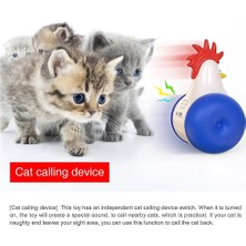 Bdz Mall Eğitici Kedi Aktivite Oyuncağı (Yurt Dışından)