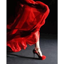 SP Store Canvas Kırmızı Ayakkabı Sayılarla Boyama Seti Kasnaklı 60 x 75 cm