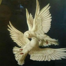 Anl Company Canvas Güvercinlerin Aşkı Sayılarla Boyama Seti Duvar Sticker Rulo 60 x 75 cm