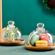 Dolity Kek Standı Açık Cam Kubbe Kapak Salata Plaka Yumruk Kase Çip Dip Sunucu (Yurt Dışından)