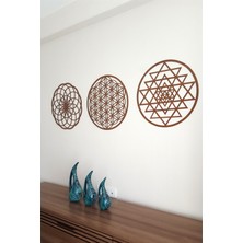 karakoç eğitim araçları Yaşam Çiçeği Sriyantra ve Torus 3 Lü Set Kutsal Geometri Torus Nefesi ve Shri Yantra