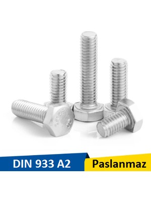 Norm M20X45 cm Inox Paslanmaz Civata