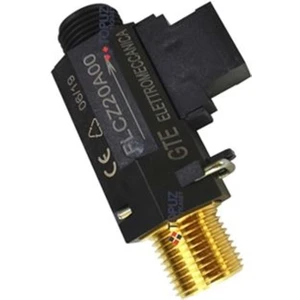 Su Akış Şalteri Gte-Arıston-Ferroli  -FLCZ20A00