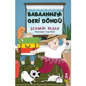 Taze Kitap Babaannem Geri Döndü Şermin Yaşar