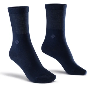 Bonny Silver Koku Yapmayan Soket Kadın Lacivert Gümüş Çorap