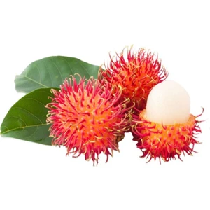 Sebze Meyve Dünyası Rambutan 3'lü