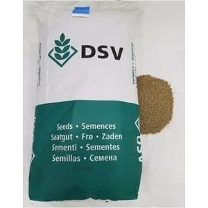 Ingiliz Çimi 2 kg Lolium Perenne Ingiliz Çim Tohumu Ithal Çim Tohumu