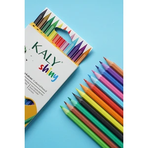 12 Renk Tam Boy Kuru Boya Seti