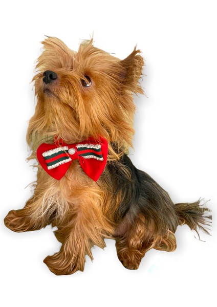 Gc Silver Yılbaşı Köpek Papyonu