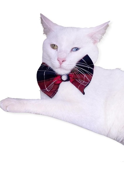 Bb Ekose Black Kedi Papyonu