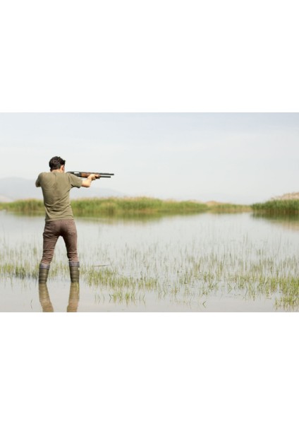 Çitflik ve Av Boğazlı 41 fırsatları