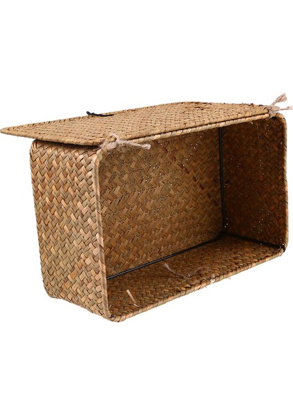 Handwoven Seagrass Depolama Sepet Organizatör Kutusu M (Yurt Dışından)