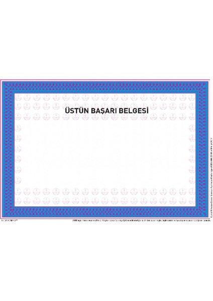 Üstün Başarı Belgesi A-5 100 Lük