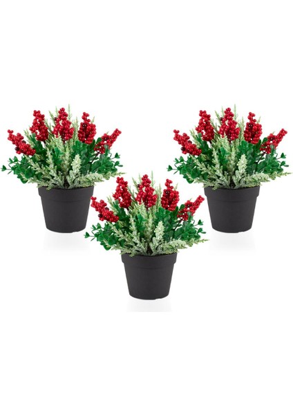3’lü Set Mini Siyah Plastik Saksıda Karlı Kokinalı Yapay Yılbaşı Çiçeği