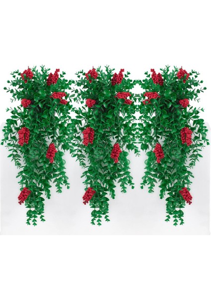 3’lü Set Mini Siyah Plastik Saksıda Kokinalı Sarkan Yılbaşı Çiçeği