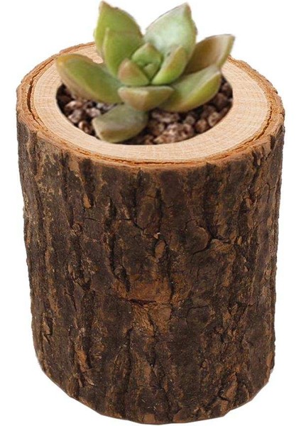 F Fityle Ağaç Güdük Mumluk Dekor 6 x 7 cm (Yurt Dışından)