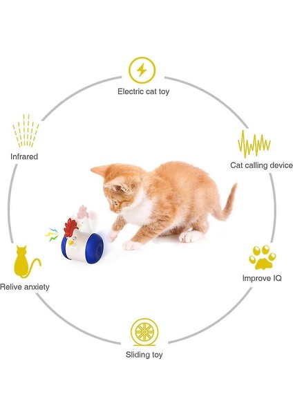 Eğitici Kedi Aktivite Oyuncağı (Yurt Dışından) modelleri