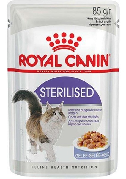 Sterilised Jelly Kedi Konservesi 85 gr x 12 Adet