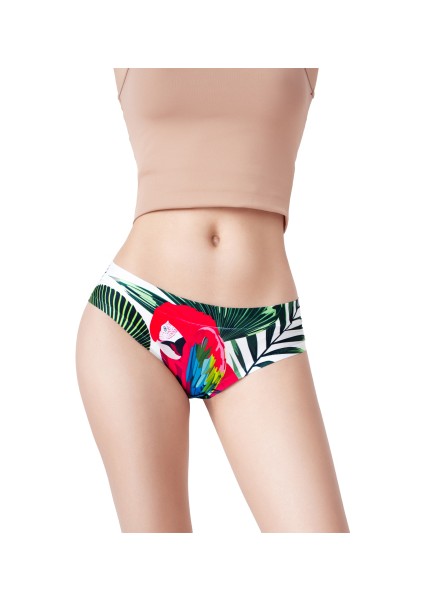 Kadın Çok Renkli Dikişsiz Izsiz Bikini Slip Külot