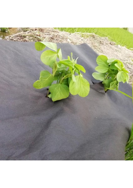 - 80CM x 1000M 40GR Tekstil Mulch Agril Isı Don Perdesi, Zirai Don Kırağı Örtü Karpuz Çilek Malç fırsatları