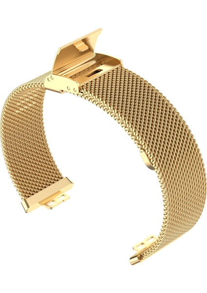 Puluz Huawei Watch Fit Için Mesh Metal Kordon (Yurt Dışından) modelleri
