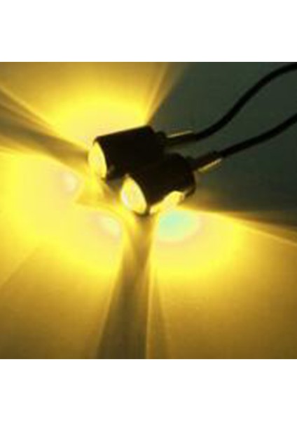 Çifti Araba Motosiklet LED Plaka Cıvata Işık Lambası Ampul 12 V(Yurt Dışından) fırsatları