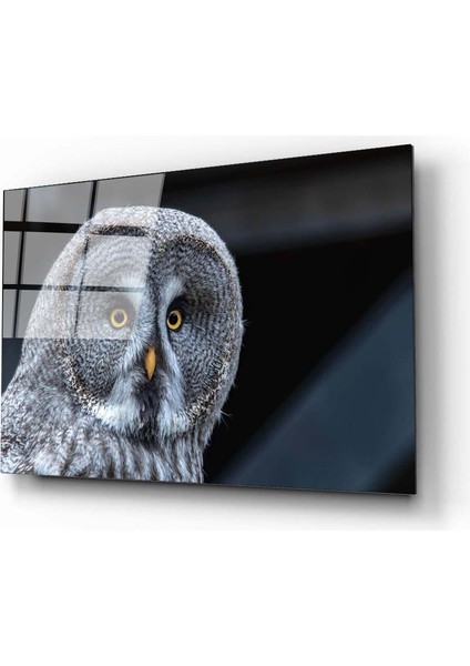 Baykuş Cam Tablo