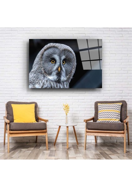 Baykuş Cam Tablo fiyatları