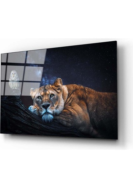 Baykuş ve Aslan Cam Tablo