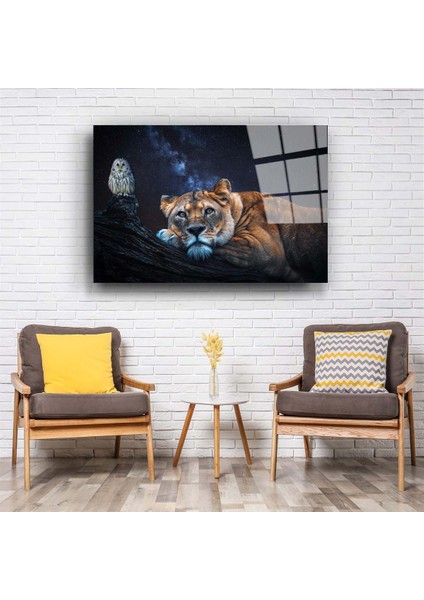 Baykuş ve Aslan Cam Tablo fiyatları