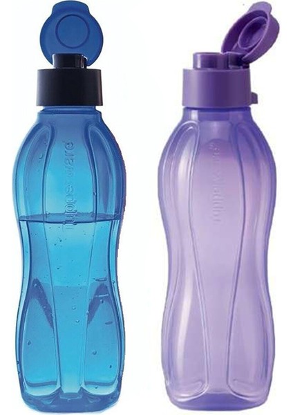 Eko Şişe 750 ml Mavi-Lila 2'li