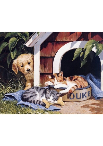 Hobby Sevimli Dostlar Boyama Seti Rulo