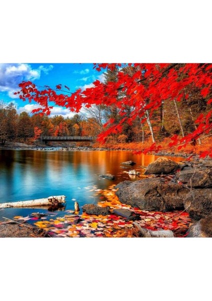 Hobby Sonbaharın Güzelliği Boyama Seti Rulo