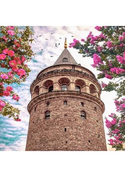 Canvas Galata Rüyasi Sayılarla Boyama Seti Kasnaklı 60 x 75 cm