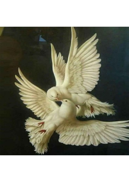 Canvas Güvercinlerin Aşkı Sayılarla Boyama Seti Kasnaklı 60 x 75 cm