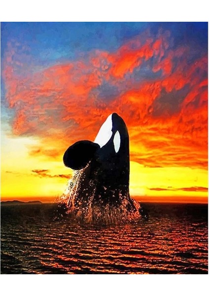 Canvas Balina Sayılarla Boyama Seti Sayılarla Boyama Seti Rulo 50 x 65 cm