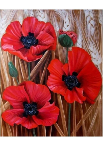 Canvas Başak ve Gelincik Renkli Sayılarla Boyama Seti Rulo 90 x 110 cm