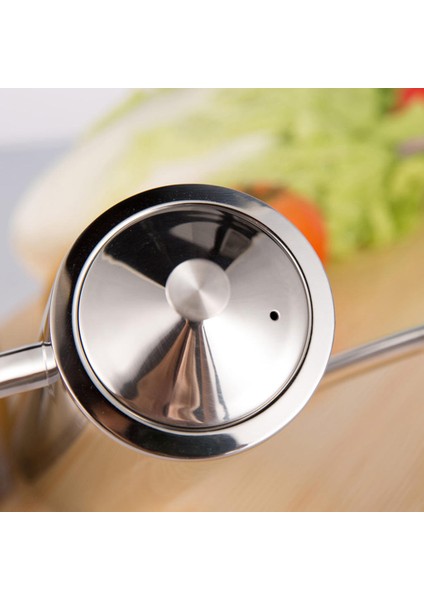 Paslanmaz Metal Sürahi Can Pourer Sirke Zeytinyağı Drizzler Dispenser 700ML (Yurt Dışından)