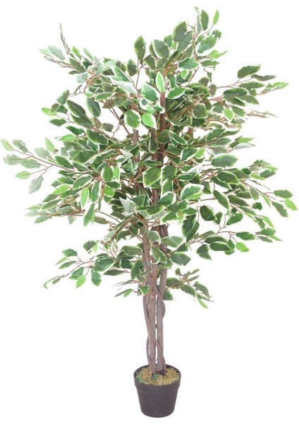 Yapay Ağaç Benjamin Yeşilbeyaz 2 Gövdeli Çalılı 120 x 70 cm Siyah Plastik Saksılı modelleri