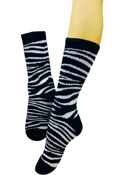 Zebra Model