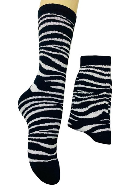 Zebra Model