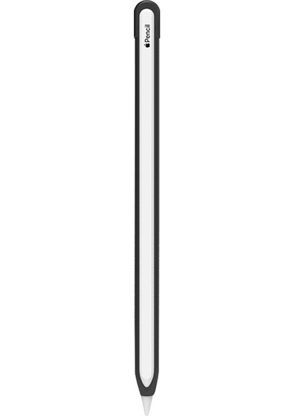 Metal Stylus Apple Kalem 2 Kılıf (Yurt Dışından)