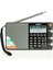 PL880 Dijital Radyo Dual Conversion Am/fm Uzun Dalga 1